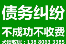 大洼大洼的要账公司在催收过程中的策略和技巧有哪些？